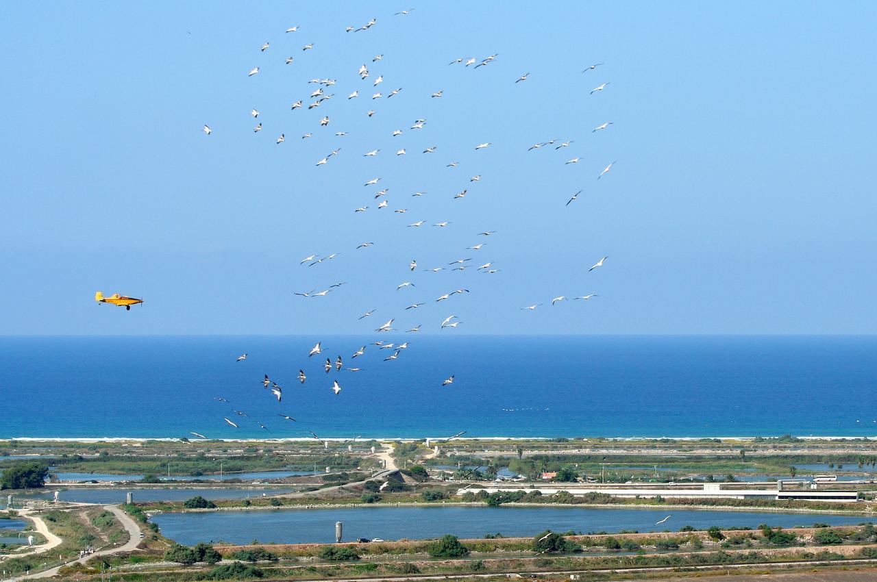 זכרון יעקב ימה צימר וספא יין מראה חיצוני תמונה